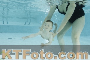 Photo 4155972