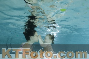 Photo 4156031