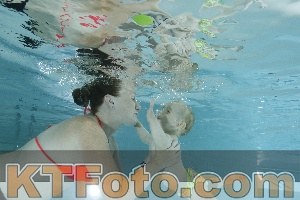 Photo 4156039