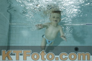 Photo 4156043