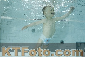 Photo 4156045