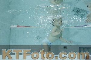 Photo 4156050