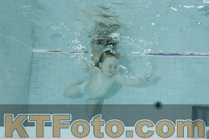 Photo 4156051
