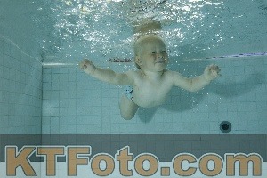 Photo 4156056