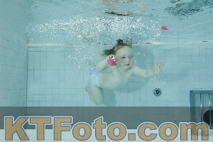 Photo 4156073