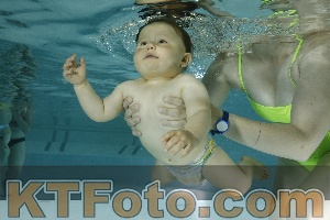 Photo 4156228