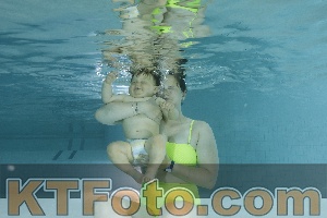 Photo 4156251