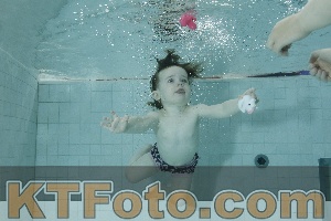 Photo 4156299