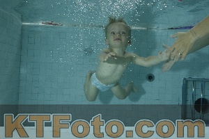 Photo 4156304
