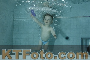 Photo 4156306