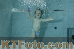 Photo 4156307