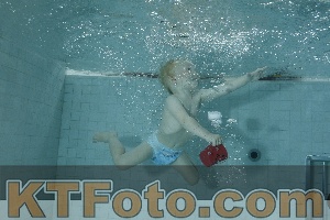 Photo 4156312