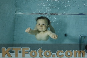 Photo 4156318