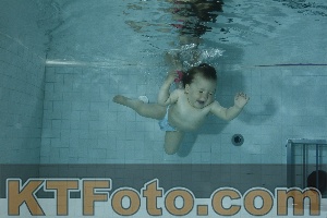 Photo 4156319
