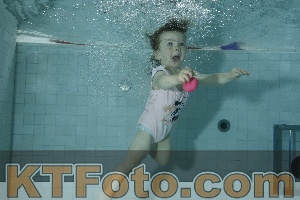 Photo 4156440