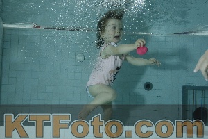 Photo 4156441