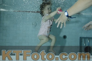 Photo 4156442