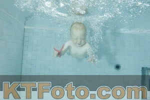 Photo 4156447