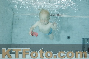 Photo 4156448