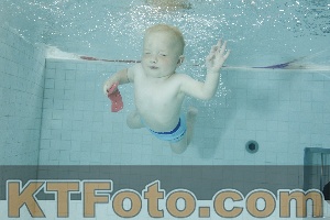 Photo 4156449