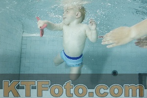 Photo 4156451