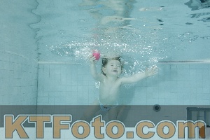 Photo 4156452