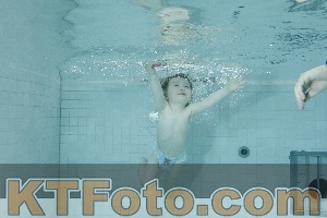 Photo 4156453