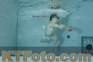 Photo 4156457
