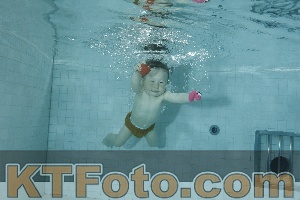 Photo 4156459