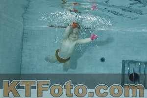 Photo 4156460