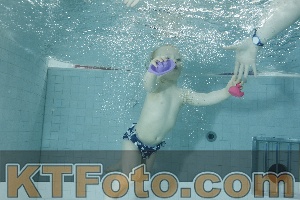 Photo 4156462