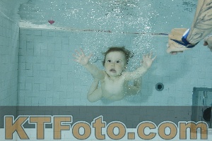 Photo 4156683