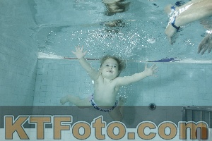 Photo 4156707