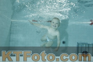 Photo 4156887