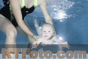 Photo 4197729