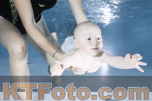 Photo 4197730