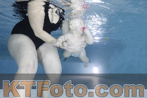 Photo 4197731