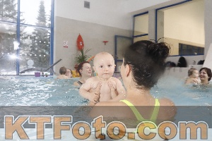 Photo 4197762