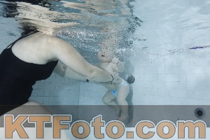 Photo 4197820