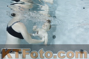 Photo 4197834