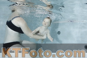 Photo 4197835