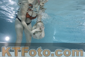 Photo 4198398