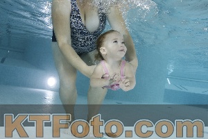 Photo 4198402
