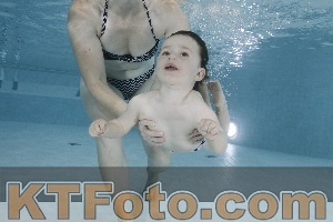 Photo 4198632