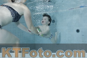Photo 4198684