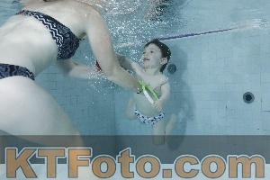 Photo 4198685