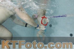 Photo 4198687