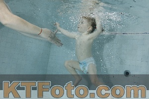 Photo 4198809