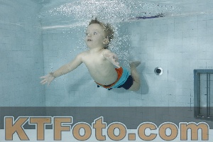 Photo 4198820