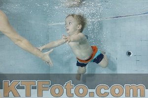 Photo 4198822